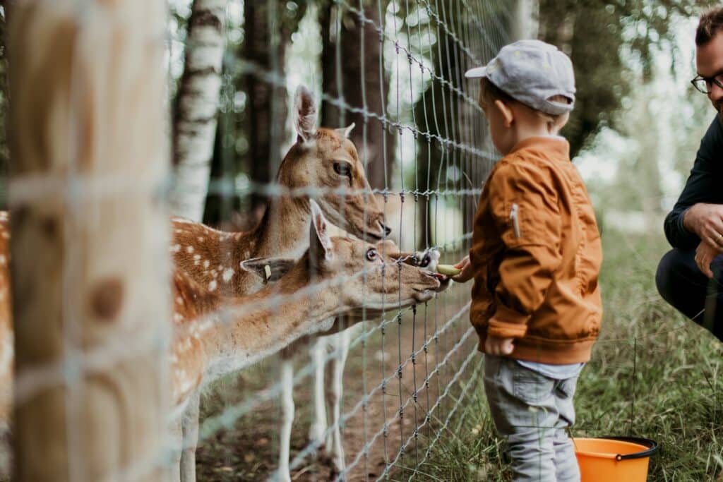 zoos Auvergne